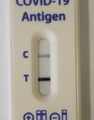 Nadal-Test: Hohes Fieber, Risikopatient. ct Wert aus PCR ca. 10(!), PCR-Ergebnis kam 1 Tag später.