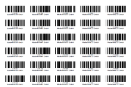 Einzelpersonenbarcodes. Hiermit wird die Rückstellprobe jeder Personen beschriftet. Die Rückstellprobe bleibt in der Regel bei der Person. Nur bei der Nachuntersuchung positiver Pools wird die Rückstellprobe eingeliefert.